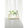 Plant Propagation Station
