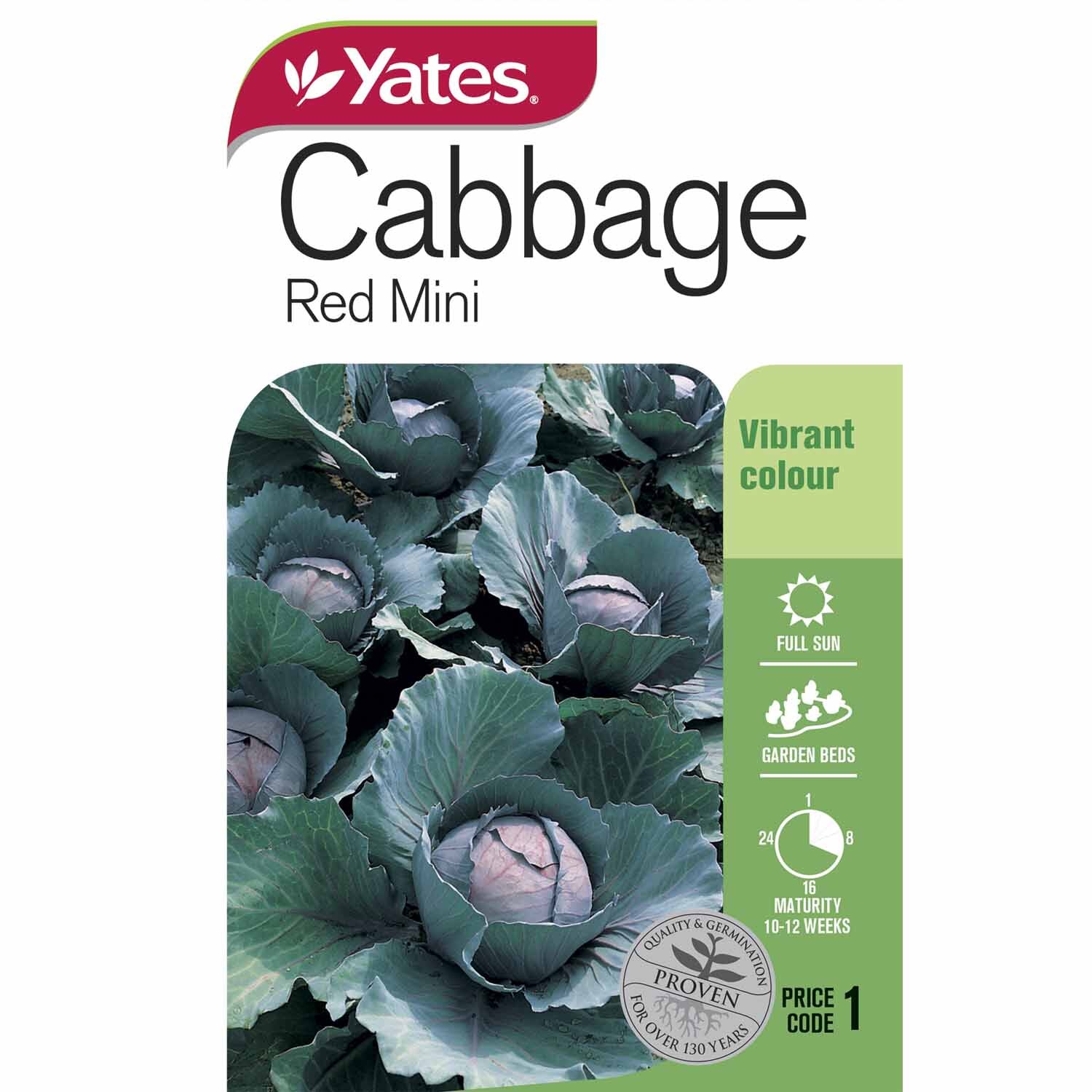 Cabbage Red Mini
