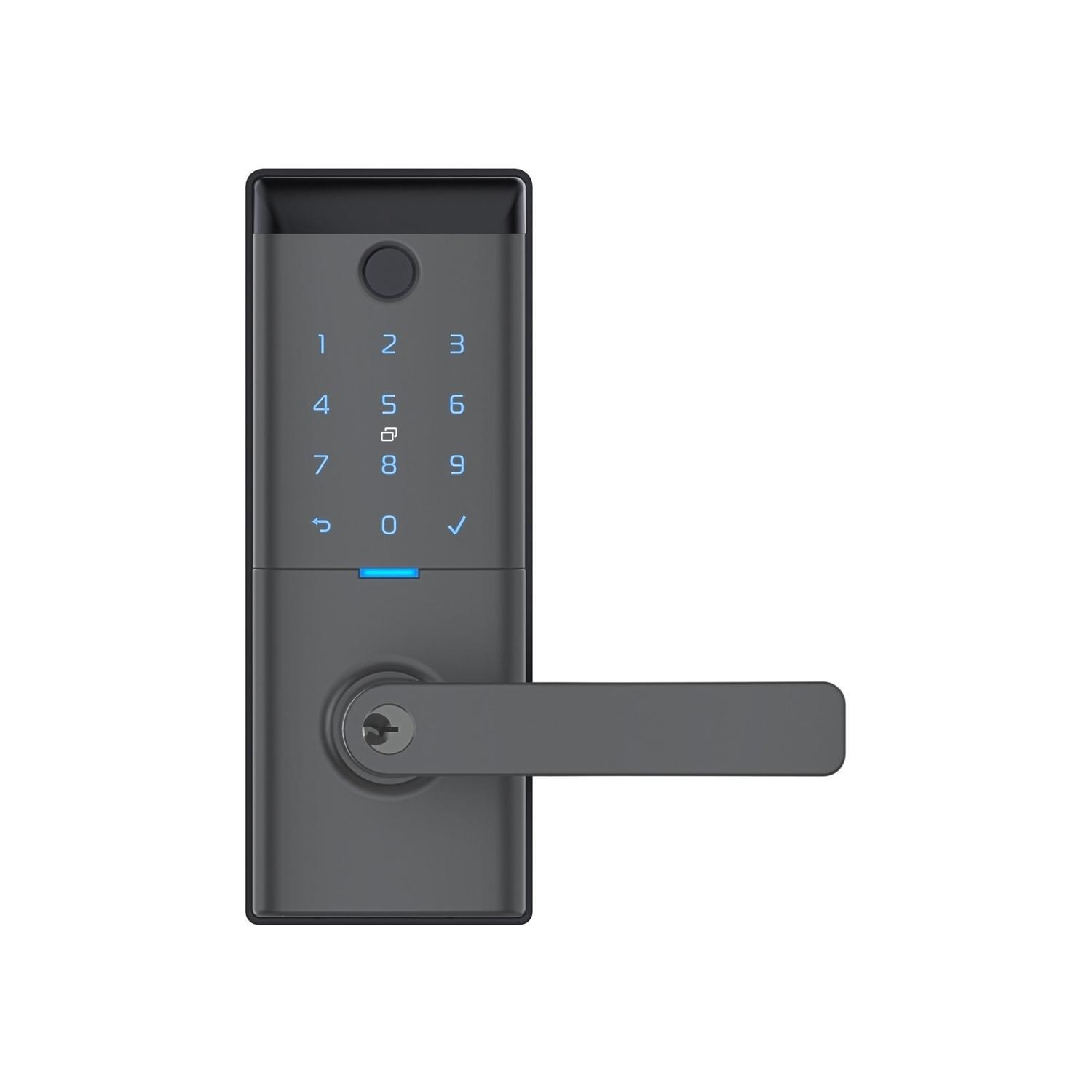 Smart Entrance Lever Graphite Finish