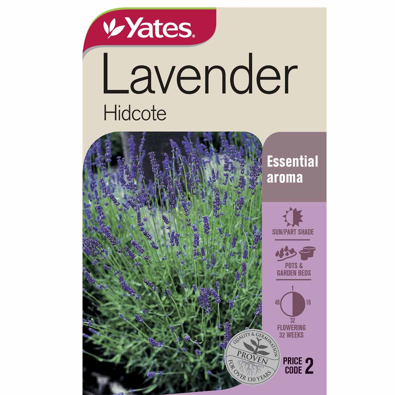 Lavender Hidcote