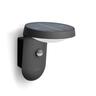 Wall light Solar Ultra Efficient 250 lumens 1.2 Watts Warm White