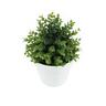Artificial Eucalyptus Plant in Pot 16cm