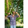 Pruning Lopper
