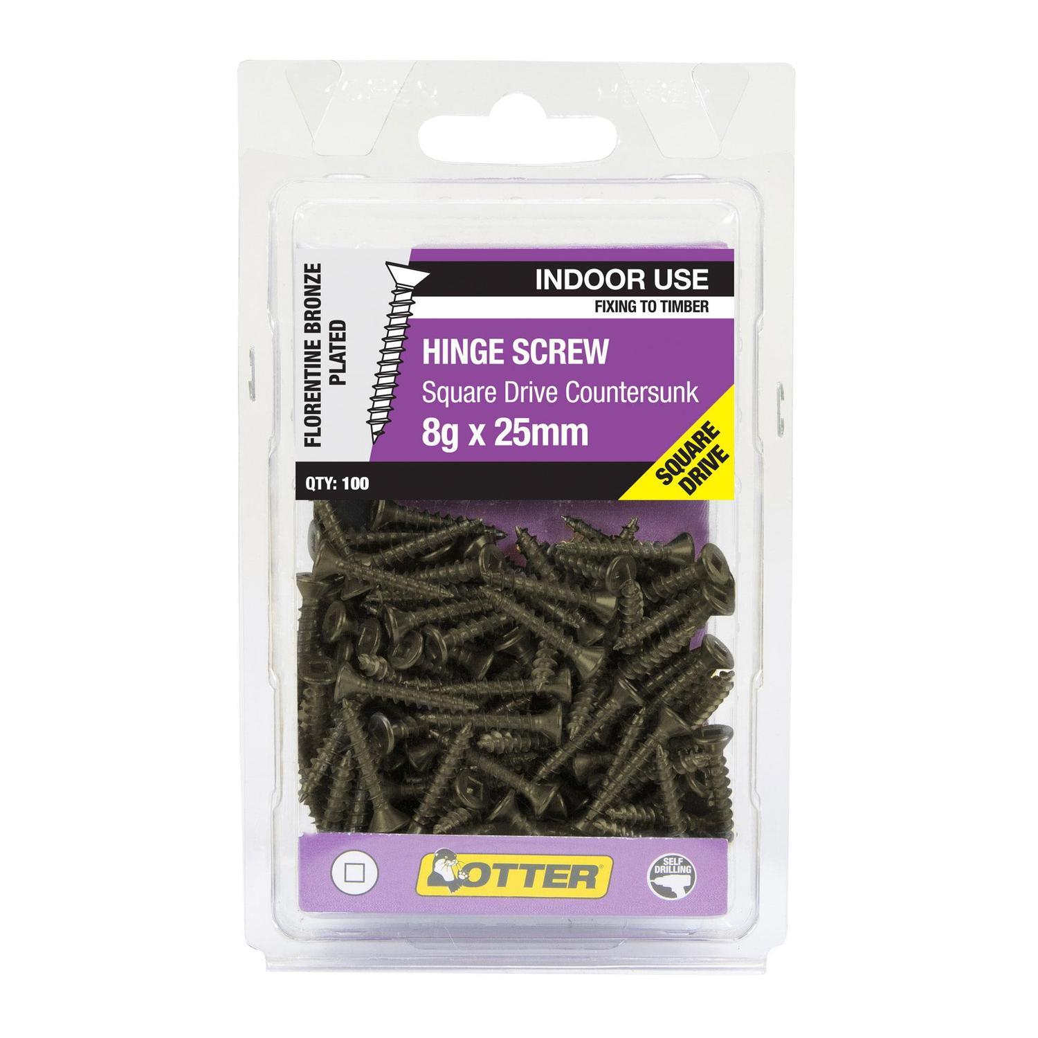 Hinge Screws