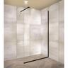Frameless Walk In Panels