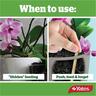 Orchid Fertiliser Spikes