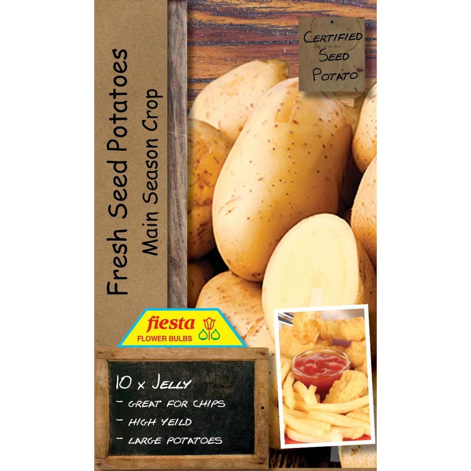 Seed Potato Jelly  10 pack