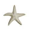 White Starfish Garden Décor