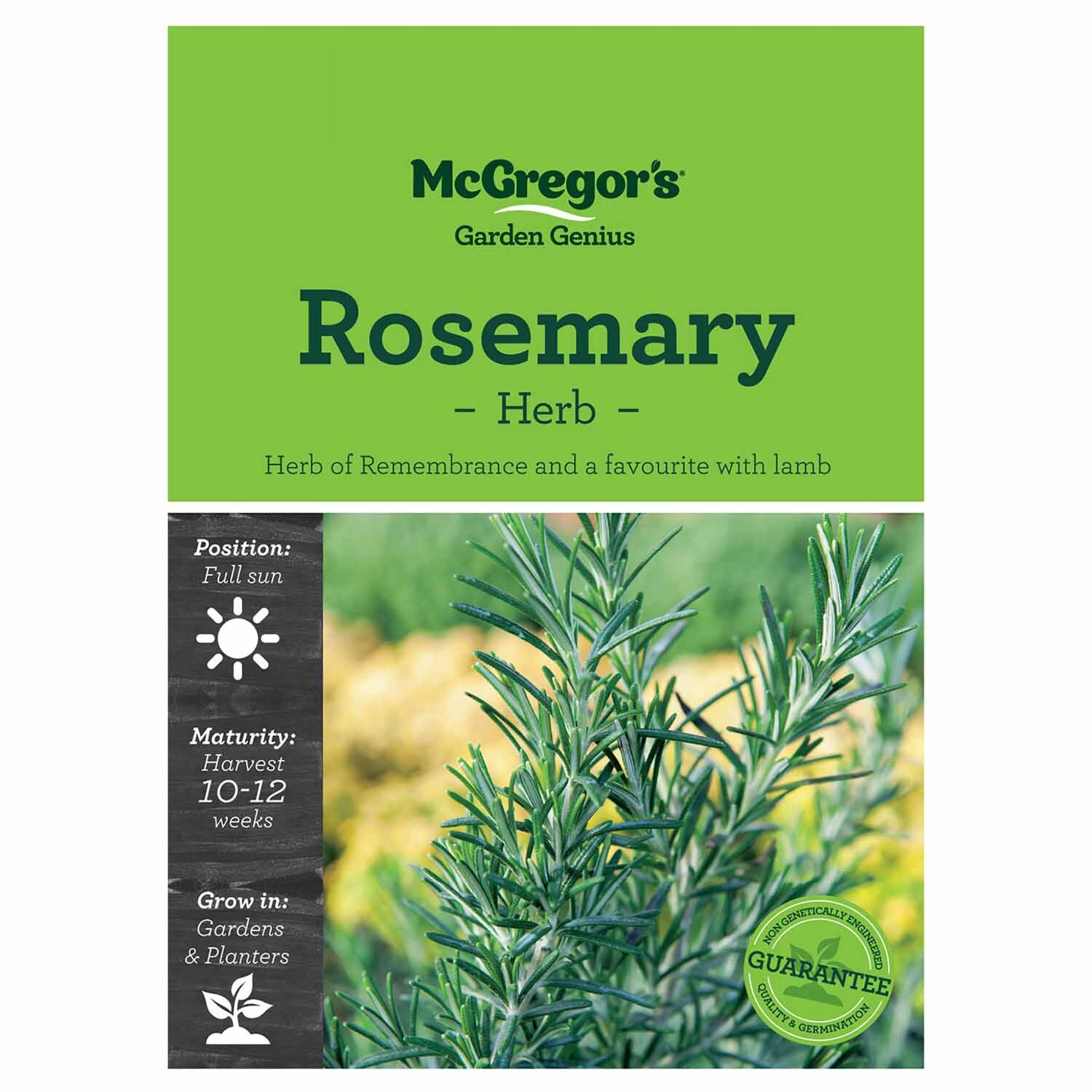 Rosemary  Herb Seed