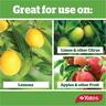 Citrus and Fruit Fertiliser Granules