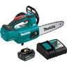 Cordless Chainsaw Kit 18 Volt, 5Ah, 25cm Teal
