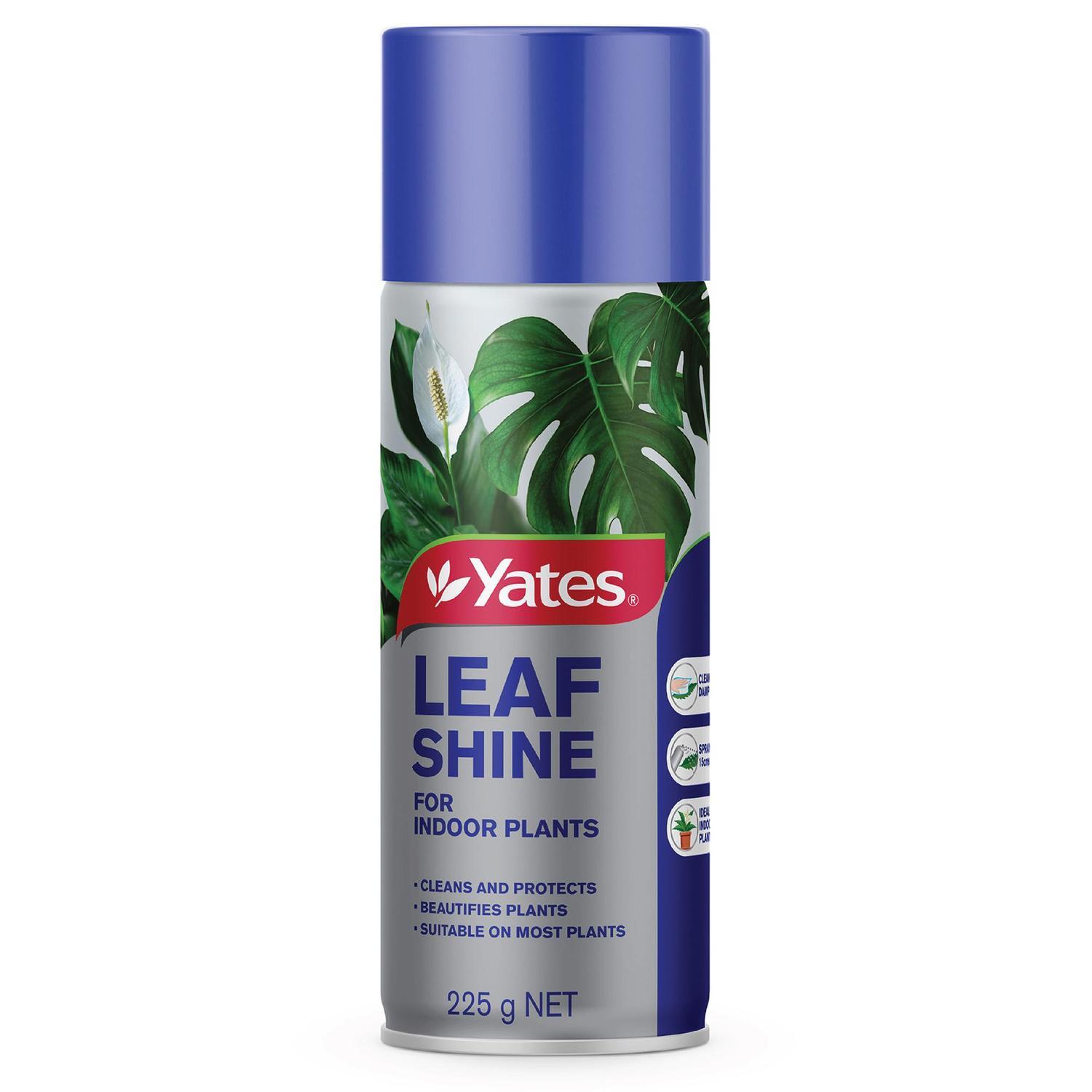 Leaf Shine Aerosol