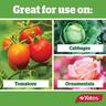 Insecticide