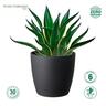 Recycled Plastic Elm Pot 12cm Charcoal  Charcoal