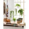 Indoor Hanging Cottage Cup Pot White 14.5cm 128 x 142 x 142mm