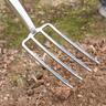 Stainless Steel D-Handle Border Fork