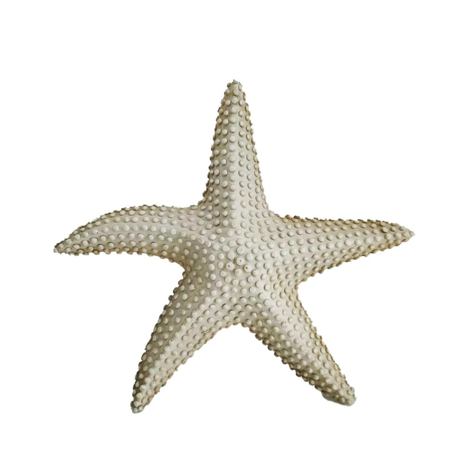 White Starfish Garden Décor