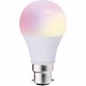 Colour Changing Light Bulb