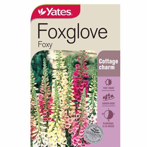 Foxglove Foxy