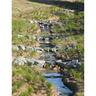 Erosion Control Matting