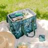 Hard Sided Cooler Bag & Ice Brick Set