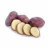 Van Rosa Seed Potatoes