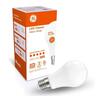 LED Classic Opal Glass GLS