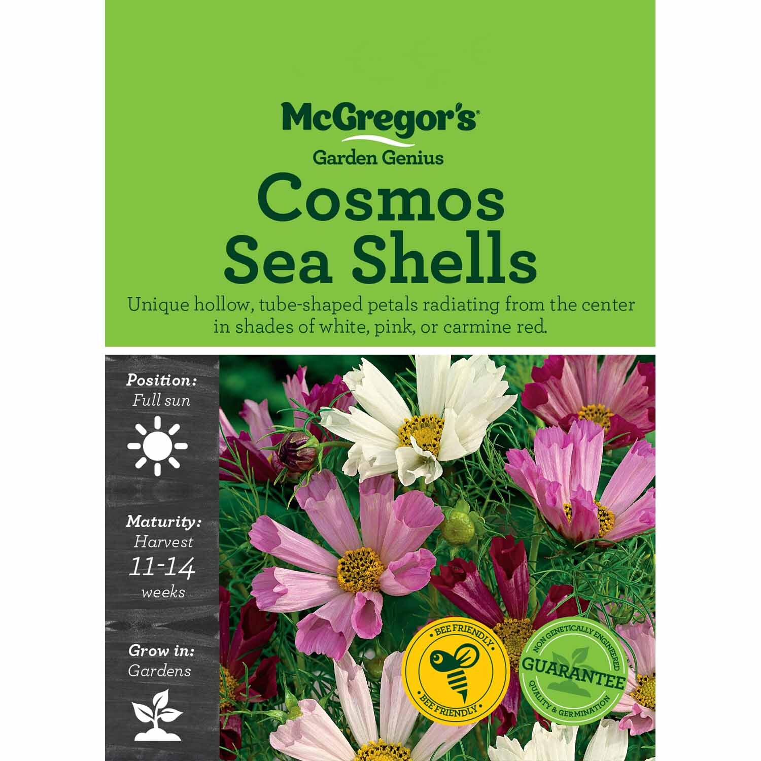 Cosmos Seas Shells