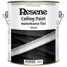 Ceiling Paint Flat Waterborne Ceiling Paint 2L White