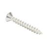 Hinge Screws
