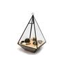 Glass Geometric Terrarium