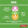 Orchid Fertiliser