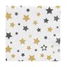 Paper Napkins 20 Pack