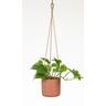 Indoor Hanging Cottage Cup Pot Burnt Orange 14.5cm 128 x 142 x 142mm