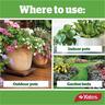 All Purpose Liquid Plant Food
