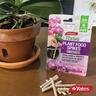 Orchid Fertiliser Spikes