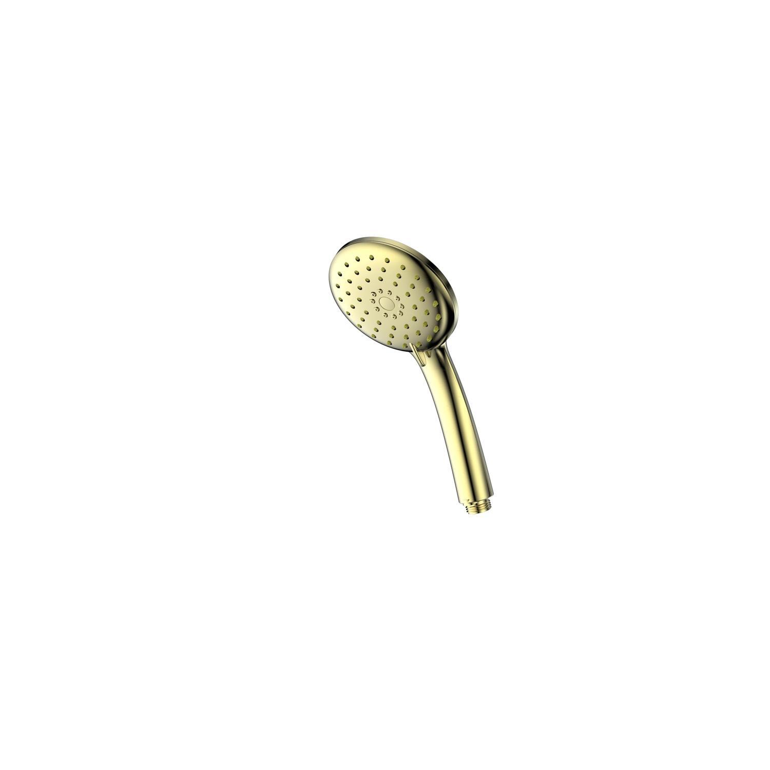 Handshower with Hose  Brushed Brass