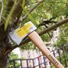 Hickory Handle Hatchet 2 kg