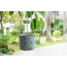 Becca Hanging Planter