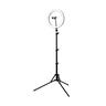 LED Floor Light Ring 30cm