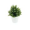 Artificial Eucalyptus Plant in Pot 12.5cm