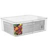 Divided Storage Bin