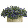 Verbena Royale Chambray