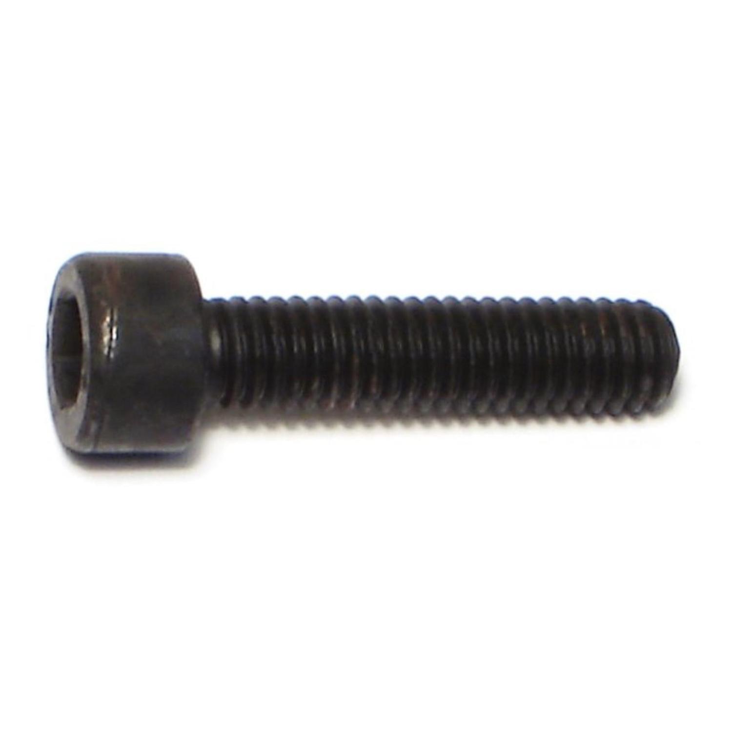 Socket Screw