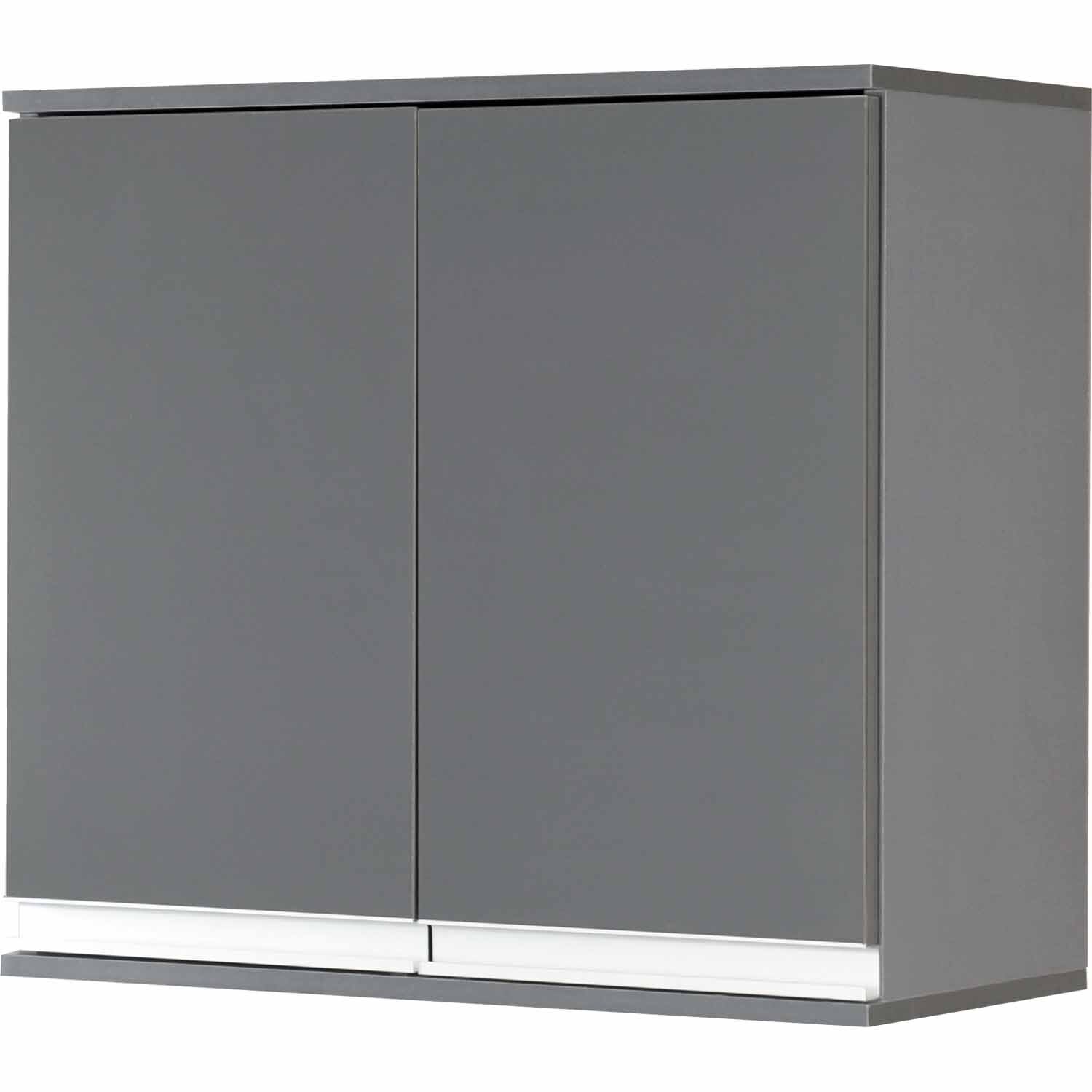 Garage Wall Cabinet