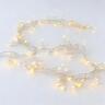 Cluster Seed Lights 1m Warm White