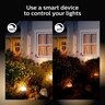 Fuzo Outdoor Pedestal Light