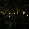 Firefly Solar Lights 2 Pack
