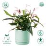 Recycled Plastic Cleo Pot 19cm Foam Green  Sea Foam Green