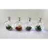 Solar Bulb Light w Succulent Assorted